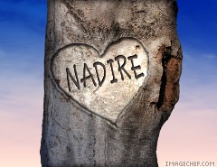 nadire